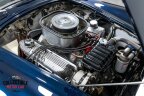 Thumbnail Photo 3 for 1965 Shelby Cobra