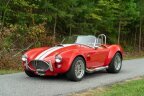 Thumbnail Photo 3 for 1965 Shelby Cobra