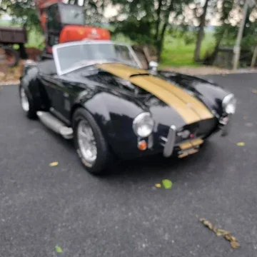 1965 Shelby Cobra-Replica