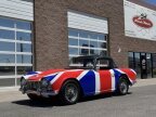 Thumbnail Photo 3 for 1965 Triumph TR4