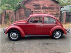 Thumbnail Photo 1 for 1965 Volkswagen Beetle
