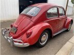 Thumbnail Photo 4 for 1965 Volkswagen Beetle
