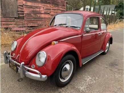 Photo 1 for 1965 Volkswagen Beetle