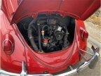 Thumbnail Photo 6 for 1965 Volkswagen Beetle