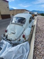 Thumbnail Photo 4 for 1965 Volkswagen Beetle