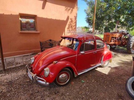 Photo 1 for 1965 Volkswagen Beetle