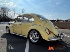 Thumbnail Photo 6 for 1965 Volkswagen Beetle