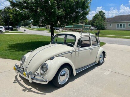 Photo 1 for 1965 Volkswagen Beetle