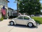 Thumbnail Photo 2 for 1965 Volkswagen Beetle