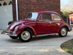 Thumbnail Photo 6 for 1965 Volkswagen Beetle