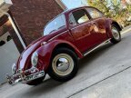 Thumbnail Photo 2 for 1965 Volkswagen Beetle