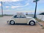 Thumbnail Photo 3 for 1965 Volkswagen Beetle