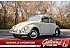 1965 Volkswagen Beetle
