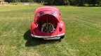 Thumbnail Photo 4 for 1965 Volkswagen Beetle Coupe for Sale by Owner