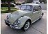 1965 Volkswagen Beetle
