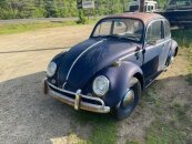 1965 Volkswagen Beetle