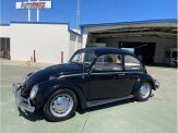 1965 Volkswagen Beetle