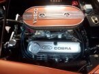 Thumbnail Photo 6 for 1966 AC Cobra
