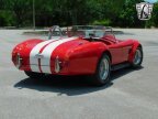 Thumbnail Photo 6 for 1966 AC Cobra