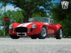 Thumbnail Photo 2 for 1966 AC Cobra