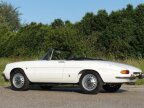 Thumbnail Photo 4 for 1966 Alfa Romeo Spider