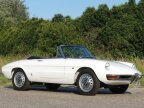 Thumbnail Photo 3 for 1966 Alfa Romeo Spider