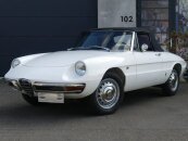 1966 Alfa Romeo Spider