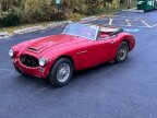 Thumbnail Photo 1 for 1966 Austin-Healey 3000MKIII