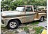 1966 Chevrolet C/K Truck