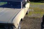 Thumbnail Photo 6 for 1966 Chevrolet Chevelle