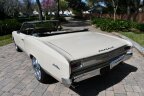 Thumbnail Photo 4 for 1966 Chevrolet Chevelle