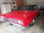 Thumbnail Photo 4 for 1966 Chevrolet Chevelle SS