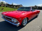 Thumbnail Photo 3 for 1966 Chevrolet Chevelle SS