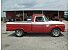 1966 Ford F100