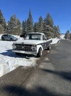 Thumbnail Photo 1 for 1966 Ford F100