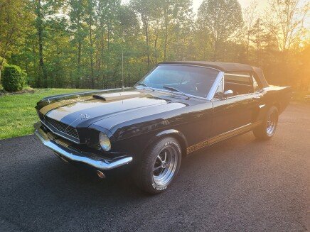 Photo 1 for 1966 Ford Mustang Shelby GT350 for Sale by Owner