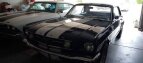Thumbnail Photo 4 for 1966 Ford Mustang