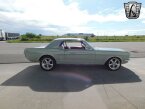 Thumbnail Photo 6 for 1966 Ford Mustang