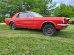 Thumbnail Photo 6 for 1966 Ford Mustang
