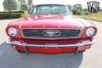 Thumbnail Photo 2 for 1966 Ford Mustang