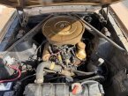Thumbnail Photo 1 for 1966 Ford Mustang
