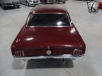 Thumbnail Photo 5 for 1966 Ford Mustang