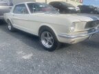 Thumbnail Photo 1 for 1966 Ford Mustang