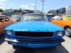 Thumbnail Photo 6 for 1966 Ford Mustang