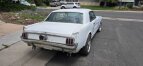 Thumbnail Photo 6 for 1966 Ford Mustang