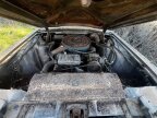 Thumbnail Photo 1 for 1966 Ford Thunderbird