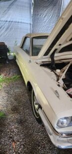 Thumbnail Photo 3 for 1966 Ford Thunderbird
