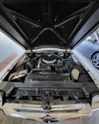 Thumbnail Photo 1 for 1966 Ford Thunderbird