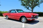Thumbnail Photo 5 for 1966 Ford Thunderbird