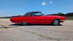 Thumbnail Photo 3 for 1966 Ford Thunderbird